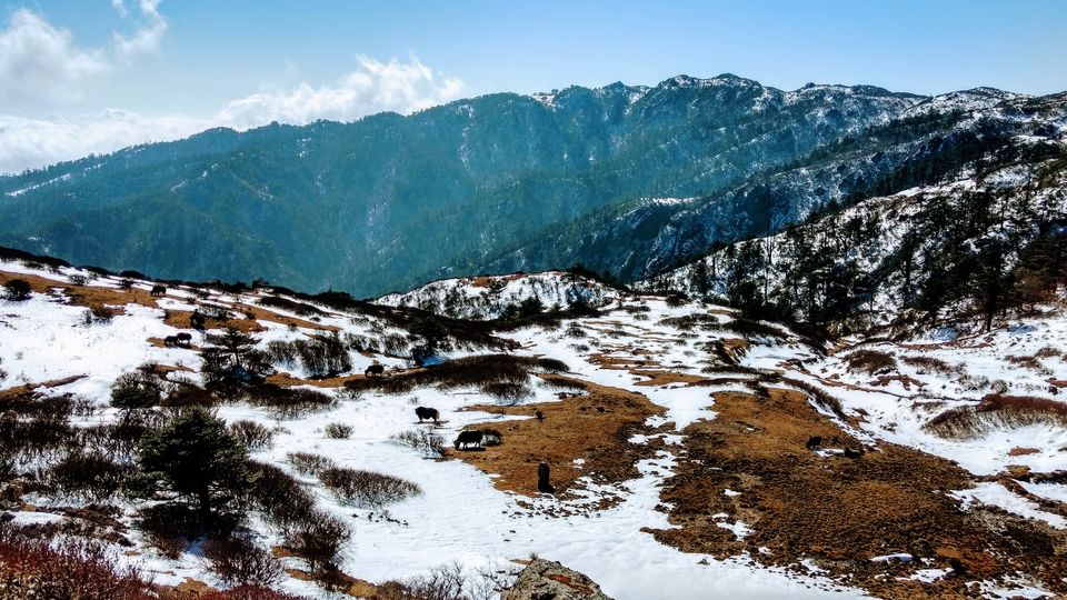 Photo of Trek to Sandakphu | The Eastern Himalayan Ranges by Kiran Kumnoor (Little Detours)