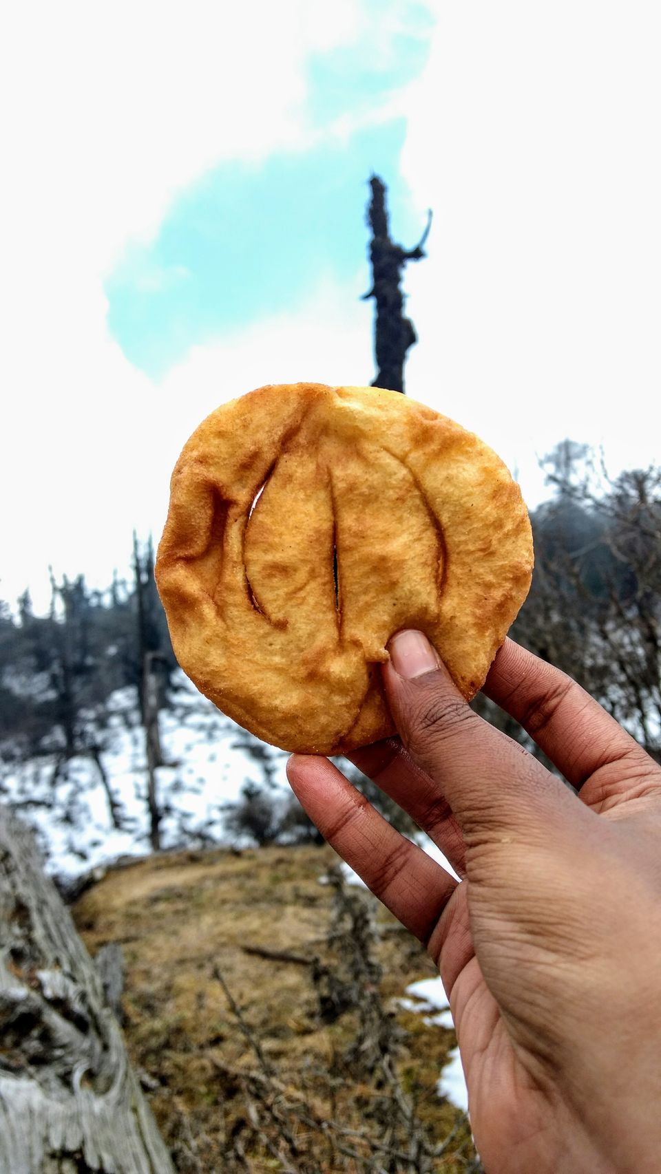 Photo of Trek to Sandakphu | The Eastern Himalayan Ranges by Kiran Kumnoor (Little Detours)