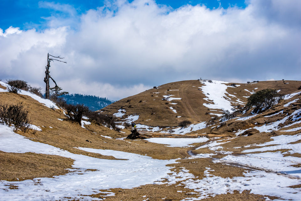 Photo of Trek to Sandakphu | The Eastern Himalayan Ranges by Kiran Kumnoor (Little Detours)