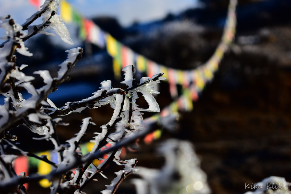 Photo of Trek to Sandakphu | The Eastern Himalayan Ranges by Kiran Kumnoor (Little Detours)