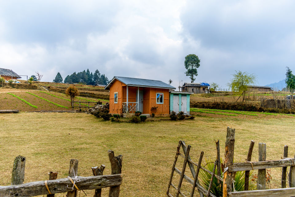 Photo of Trek to Sandakphu | The Eastern Himalayan Ranges by Kiran Kumnoor (Little Detours)