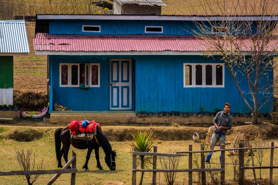 Photo of Trek to Sandakphu | The Eastern Himalayan Ranges by Kiran Kumnoor (Little Detours)