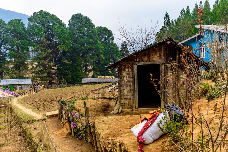Photo of Trek to Sandakphu | The Eastern Himalayan Ranges by Kiran Kumnoor (Little Detours)