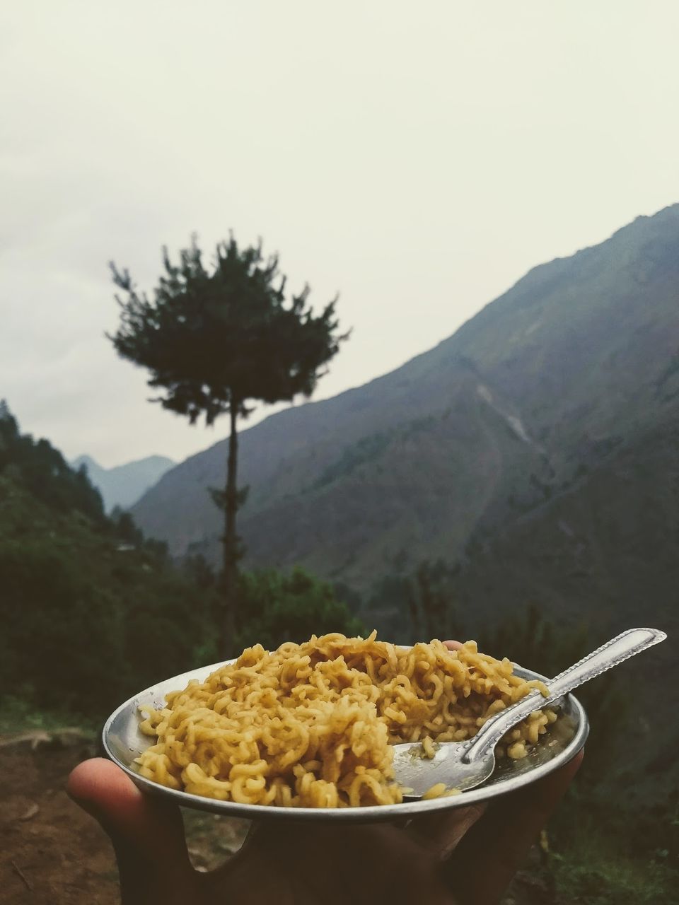 Photo of Why did I cry at the Rupin Pass Summit #offbeatuttarakhand by Kiran Kumnoor (Little Detours)