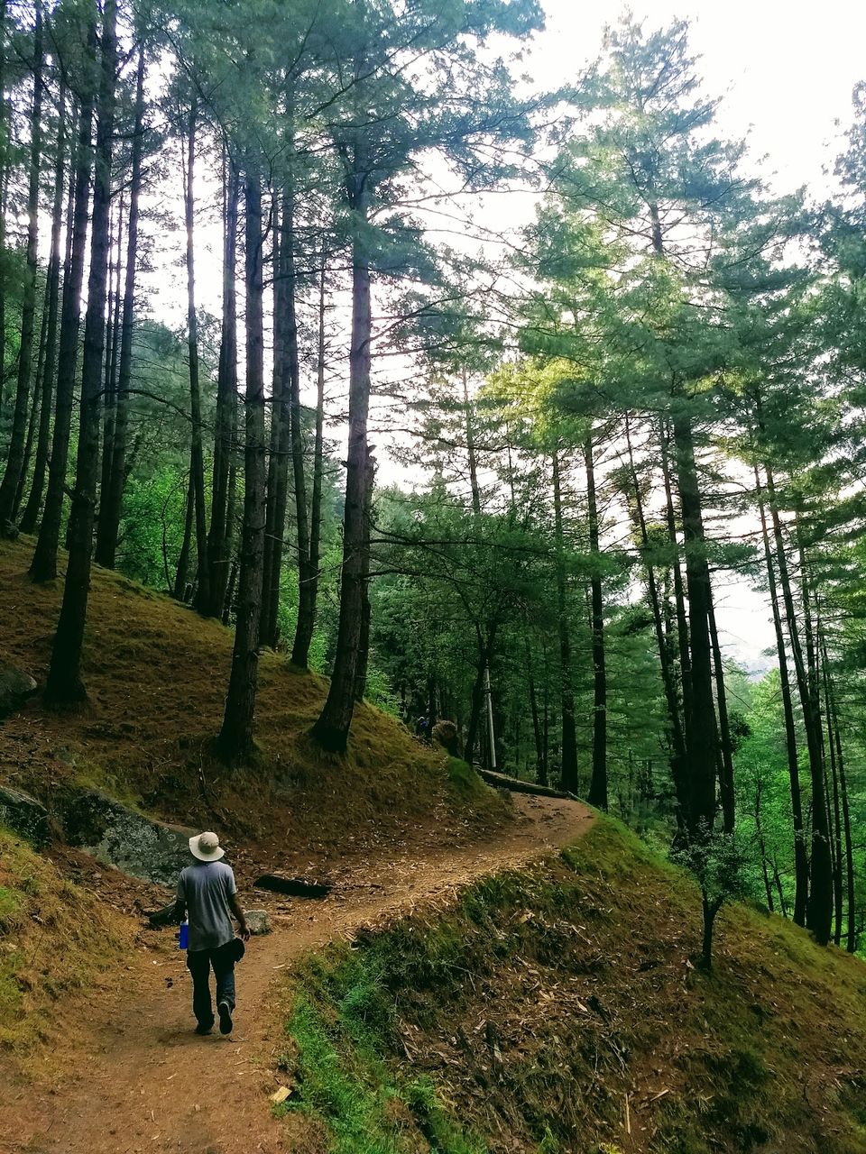 Photo of Why did I cry at the Rupin Pass Summit #offbeatuttarakhand by Kiran Kumnoor (Little Detours)