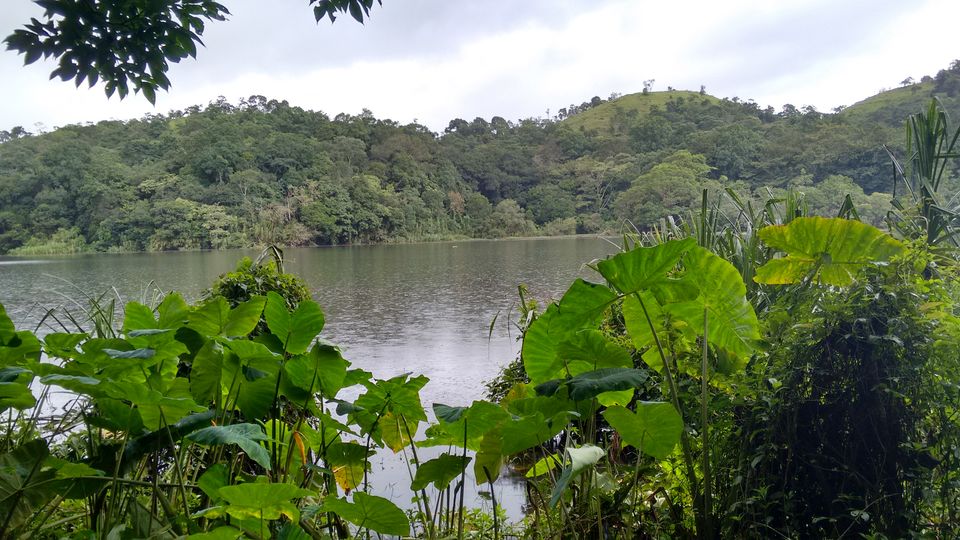 Photo of Kerala: The land of Kathahal, Kela, Kardamom and Koffee 13/30 by anumeha gupta