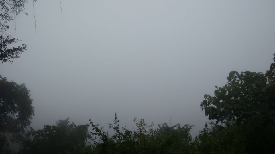 Photo of Kerala: The land of Kathahal, Kela, Kardamom and Koffee 20/30 by anumeha gupta