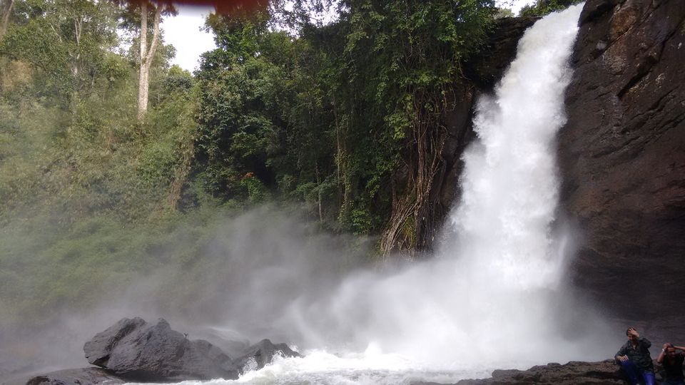 Photo of Kerala: The land of Kathahal, Kela, Kardamom and Koffee 24/30 by anumeha gupta