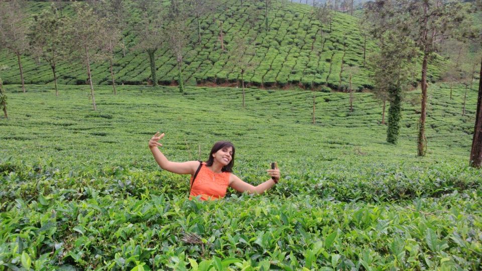 Photo of Kerala: The land of Kathahal, Kela, Kardamom and Koffee 26/30 by anumeha gupta
