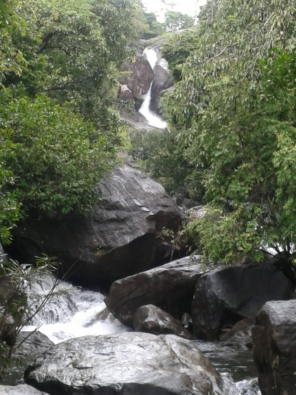 Photo of Kerala: The land of Kathahal, Kela, Kardamom and Koffee 30/30 by anumeha gupta