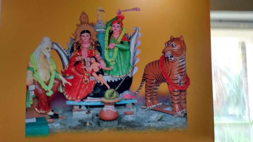 Photo of In the land of Bonbibi and Dakhin Ray in Sundarbans by anumeha gupta