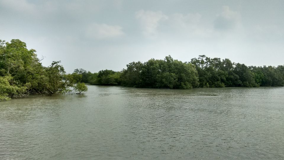 Photo of In the land of Bonbibi and Dakhin Ray in Sundarbans by anumeha gupta