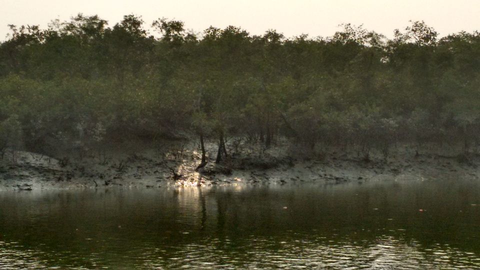 Photo of In the land of Bonbibi and Dakhin Ray in Sundarbans by anumeha gupta