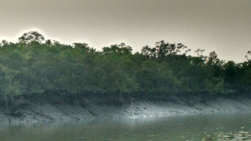 Photo of In the land of Bonbibi and Dakhin Ray in Sundarbans by anumeha gupta