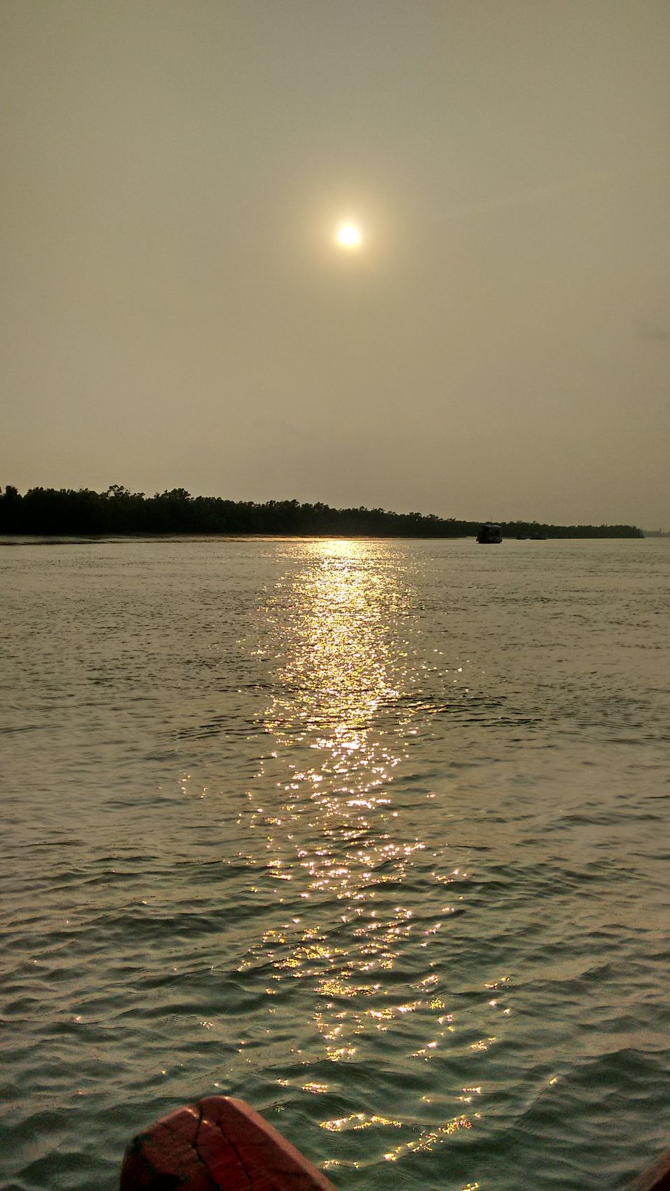 Photo of In the land of Bonbibi and Dakhin Ray in Sundarbans by anumeha gupta