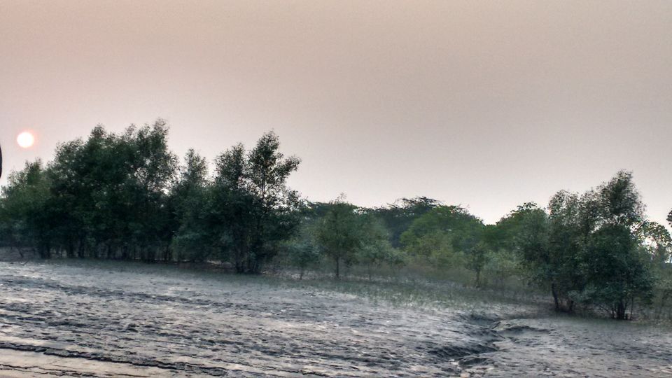 Photo of In the land of Bonbibi and Dakhin Ray in Sundarbans by anumeha gupta