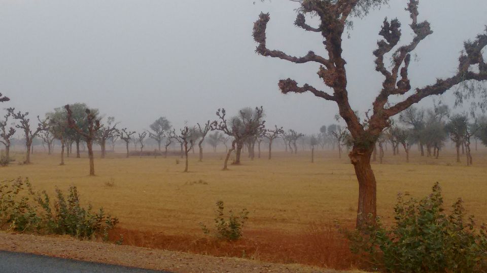 Photo of Royal Jaisalmer 1/22 by anumeha gupta