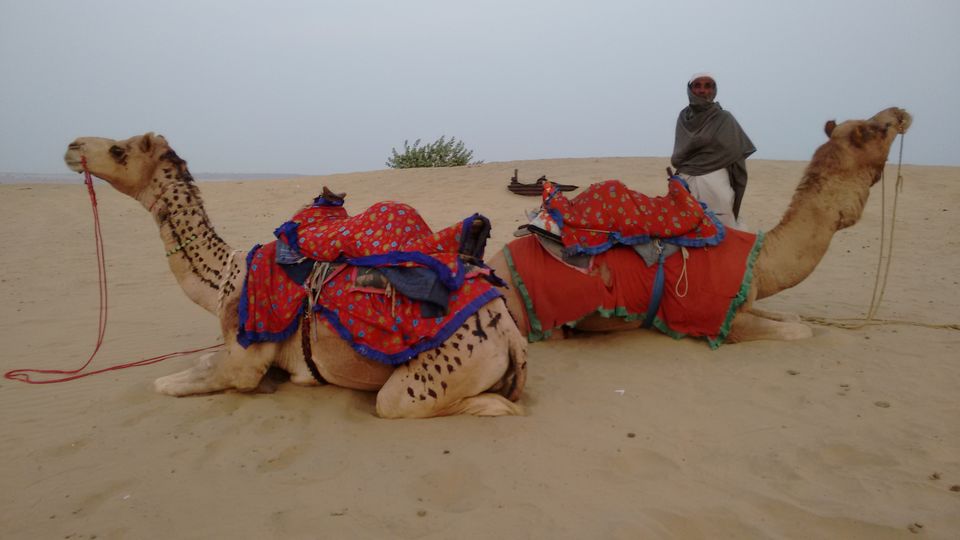 Photo of Royal Jaisalmer by anumeha gupta