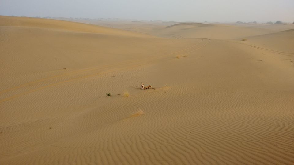Photo of Royal Jaisalmer 11/22 by anumeha gupta