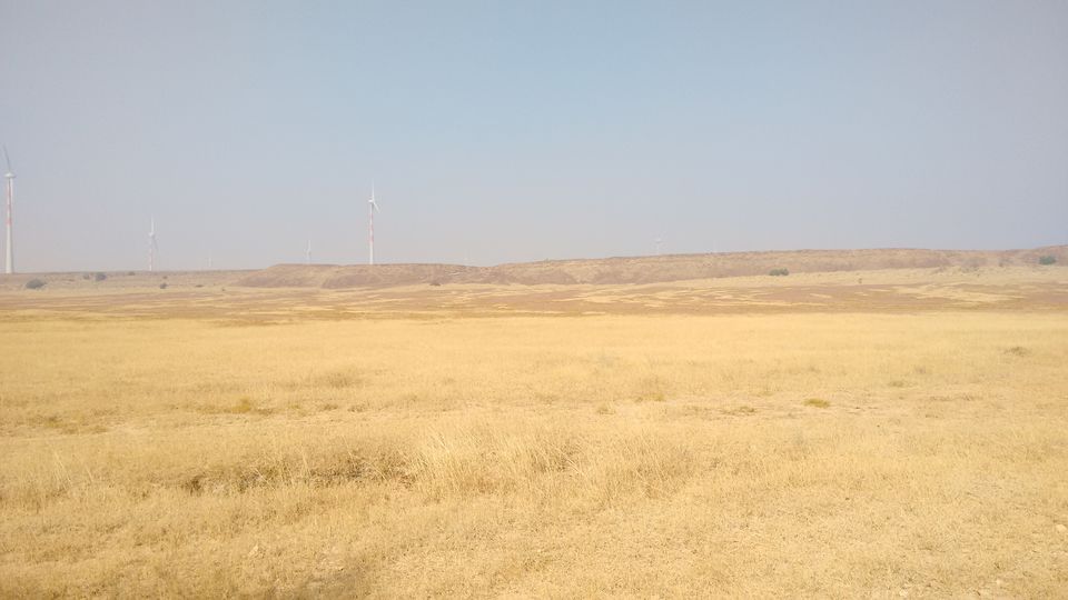 Photo of Royal Jaisalmer 18/22 by anumeha gupta