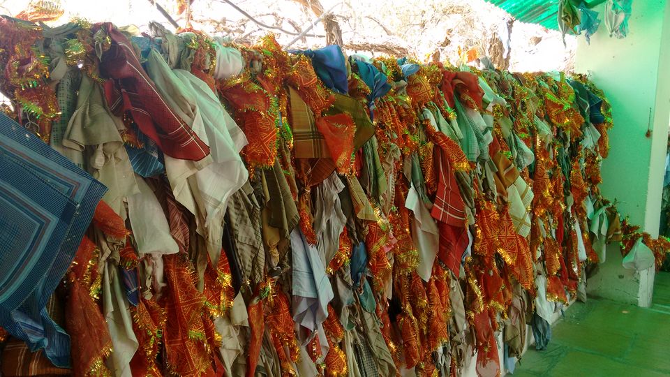 Photo of Royal Jaisalmer 22/22 by anumeha gupta