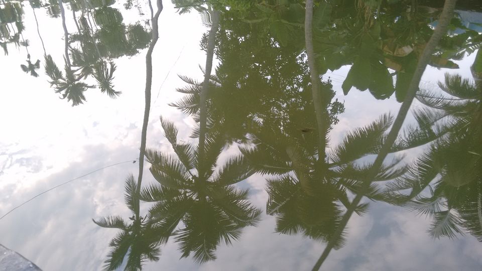 Photo of Alappuzha, Kerala, India by anumeha gupta
