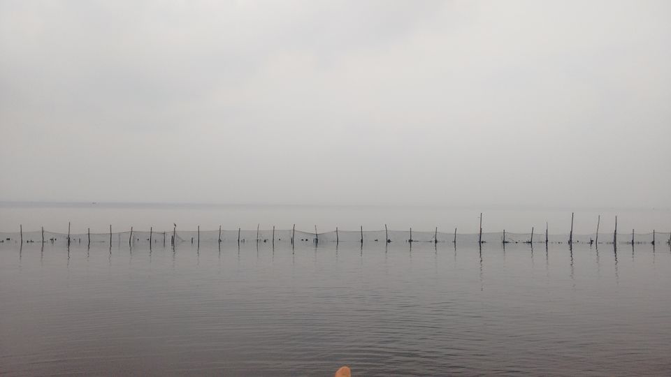 Photo of Backwater Ripples, Kumarakom, Kerala, India by anumeha gupta