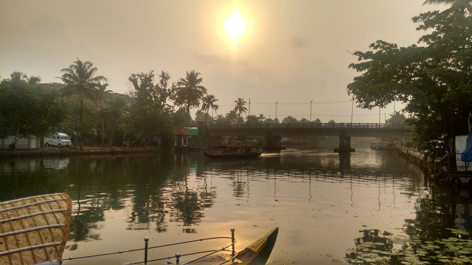 Photo of Kumarakom Bird Sanctuary, Kavanattinkara Saktheeswaram Temple Road, Kavanattinkara, Kumarakom, Kerala, India by anumeha gupta