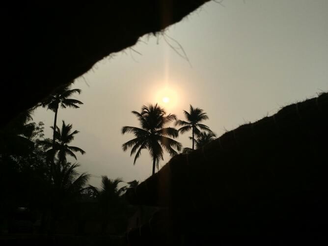 Photo of Kumarakom Bird Sanctuary, Kavanattinkara Saktheeswaram Temple Road, Kavanattinkara, Kumarakom, Kerala, India by anumeha gupta