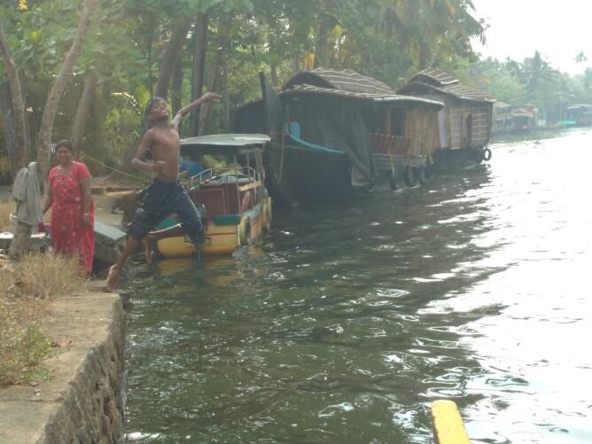 Photo of Kumarakom Bird Sanctuary, Kavanattinkara Saktheeswaram Temple Road, Kavanattinkara, Kumarakom, Kerala, India by anumeha gupta