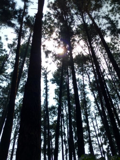 Photo of Vagamon Hill Valley, Vagamon, Kerala, India by anumeha gupta