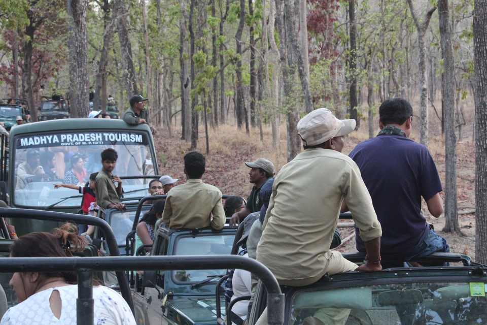Photo of Pench National Park, Madhya Pradesh, India by anumeha gupta