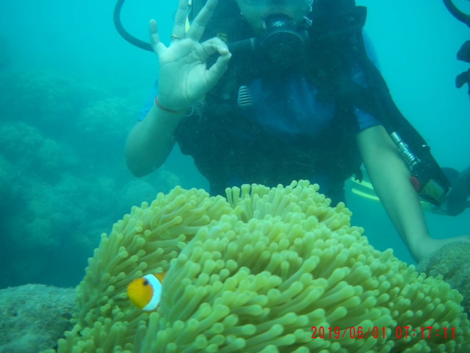 Photo of Unexpected Andaman by anumeha gupta
