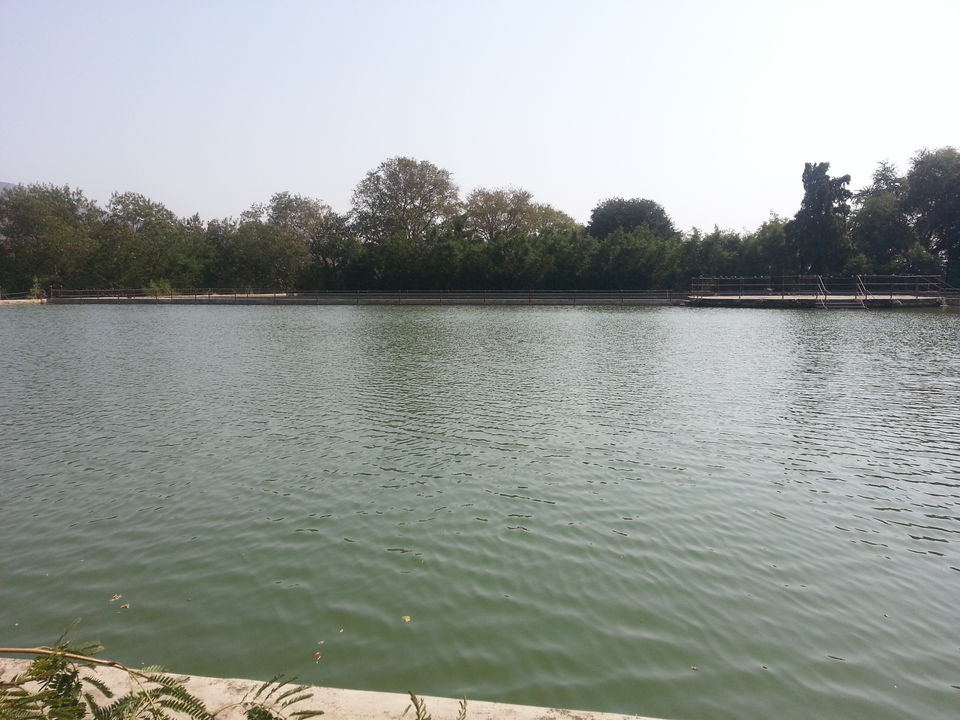 Photo of Palaces and Forts in Gujarat 25/29 by anumeha gupta