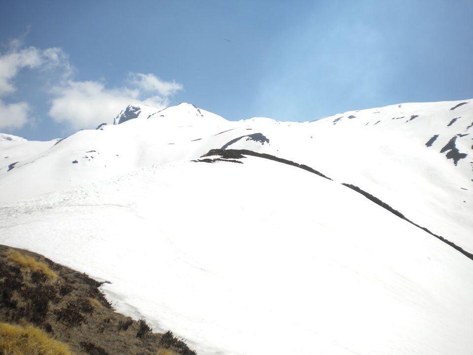 Photo of Pangarchulla - A humble attempt to summit ( Joshimath, Uttarakhand) 8/27 by anumeha gupta