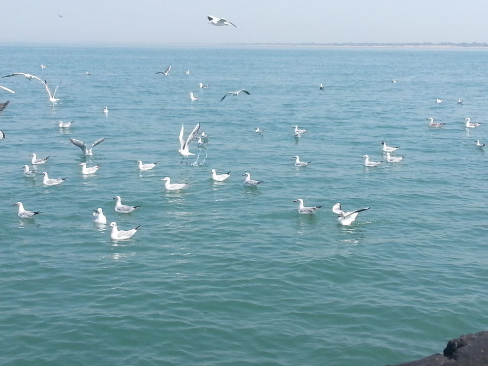 Photo of Dwarka & Bet Dwarka ( Gujarat) 1/1 by anumeha gupta
