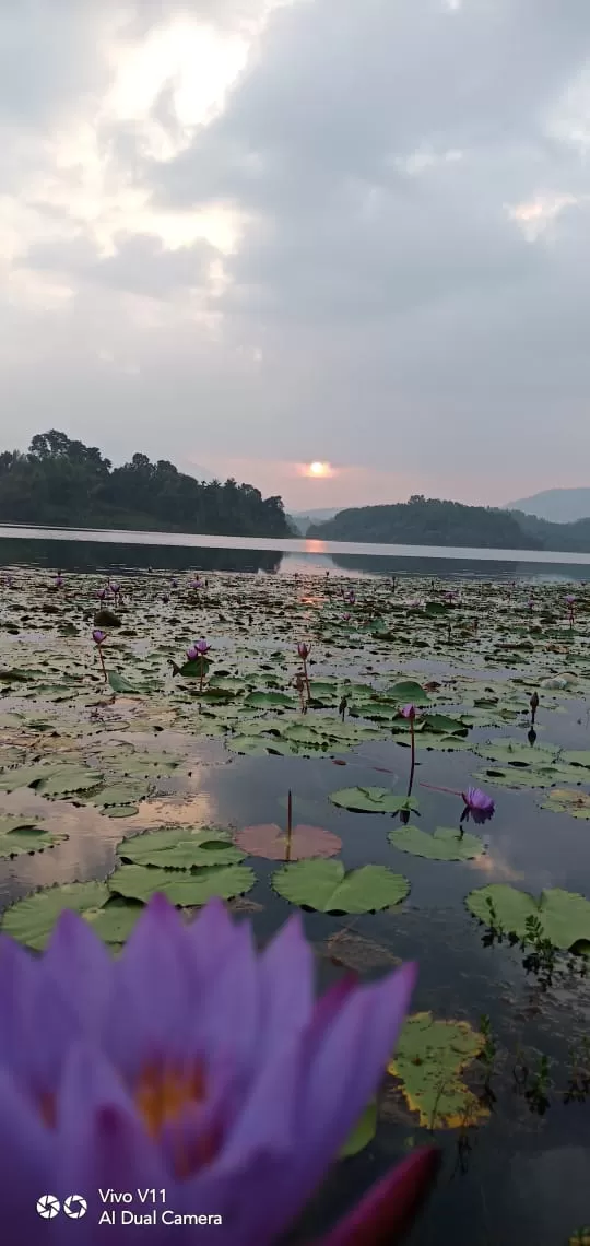 Photo of Wayanad by deepthiaswanth0523