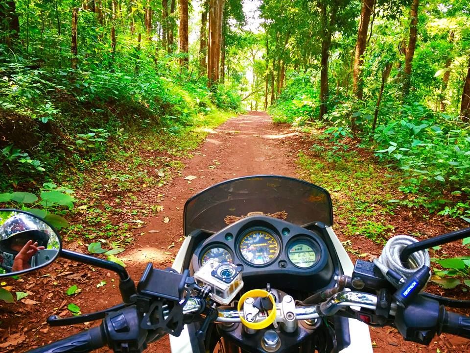 Photo of MIGHTY MAGOD FALLS, RIDE DE UTTARA KANNADA | UNEXPLORED INDIA | 1550 kms RIDE FROM BANGALORE by Wanderlust On Wheel