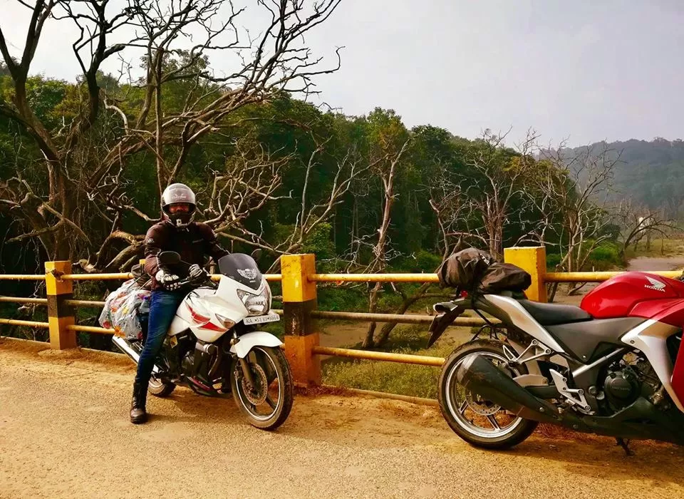 Photo of Sirsi-Yellapur Road, CP Bazar, Devikere, Sirsi, Karnataka, India by Wanderlust On Wheel