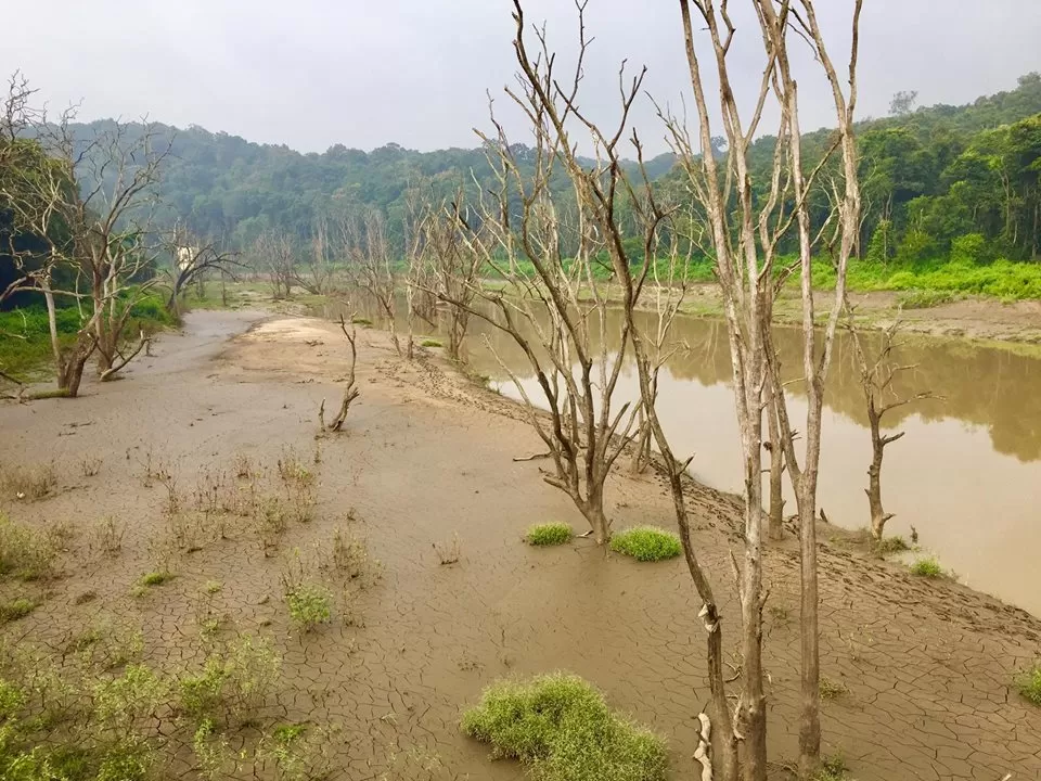 Photo of Sirsi-Yellapur Road, CP Bazar, Devikere, Sirsi, Karnataka, India by Wanderlust On Wheel