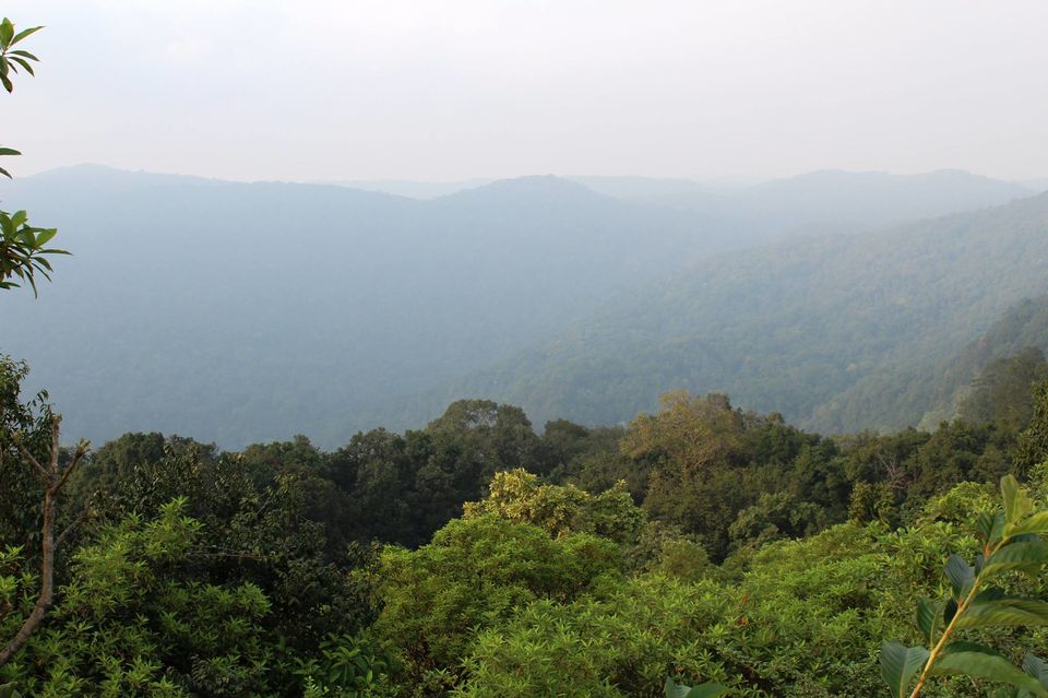 Photo of BHEEMANA ERI GUDDA | UNKNOWN VIEW POINT | UNEXPLORED WESTERN GHATS | RIDE DE UTTARA KANNADA 1550 KMS by Wanderlust On Wheel