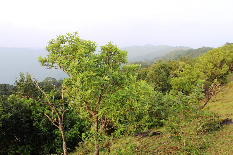 Photo of BHEEMANA ERI GUDDA | UNKNOWN VIEW POINT | UNEXPLORED WESTERN GHATS | RIDE DE UTTARA KANNADA 1550 KMS by Wanderlust On Wheel