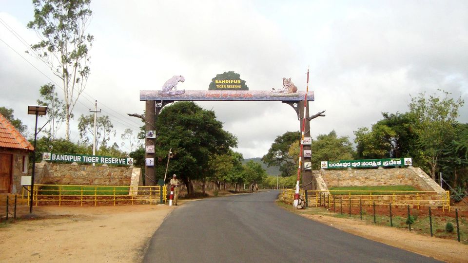 Photo of BANDIPUR NATIONAL PARK | KARNATAKA | RARE VIEW OF LEOPARD SPOTTED HUNTING | WILD LIFE by Wanderlust On Wheel