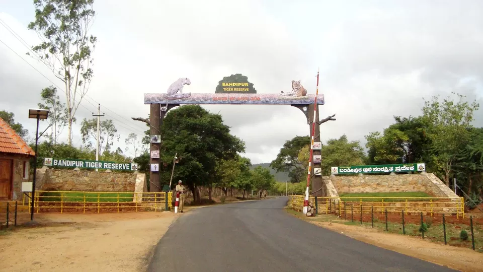 Photo of BANDIPUR NATIONAL PARK | KARNATAKA | RARE VIEW OF LEOPARD SPOTTED HUNTING | WILD LIFE by Wanderlust On Wheel