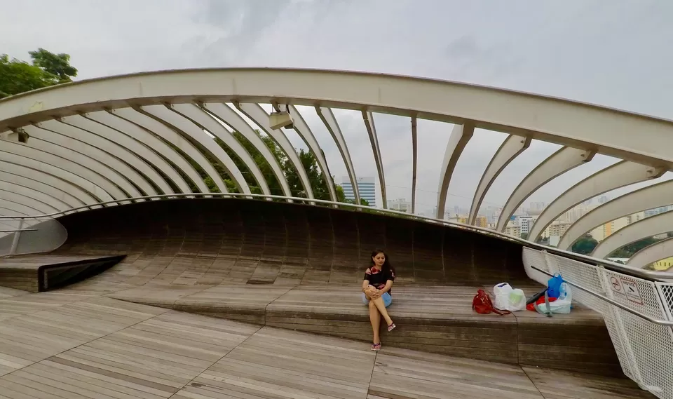 Photo of SINGAPORE | ORCHARD ROAD & HENDERSON WAVE BRIDGE WALK | Wanderlust On Wheel by Wanderlust On Wheel