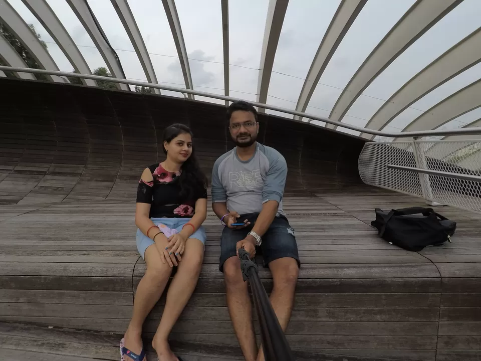 Photo of SINGAPORE | ORCHARD ROAD & HENDERSON WAVE BRIDGE WALK | Wanderlust On Wheel by Wanderlust On Wheel