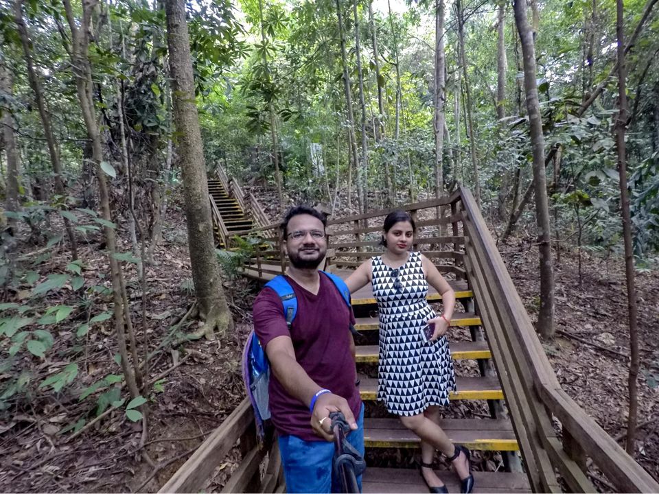 Photo of Macritchie Treetop Walk, Singapore by Wanderlust On Wheel