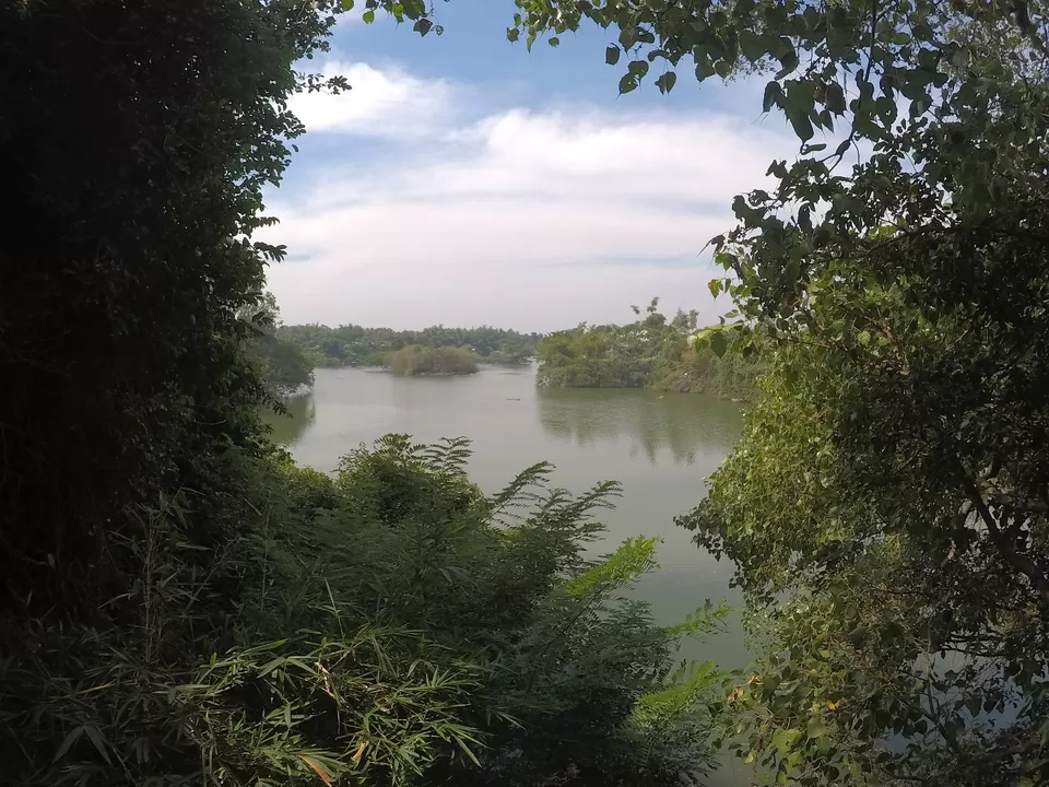 Photo of BOATING WITH CROCODILES ???? AT RANGANATHITTU BIRD SANTUARY | Wanderlust On Wheel by Wanderlust On Wheel