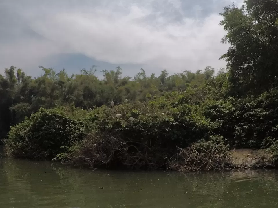 Photo of BOATING WITH CROCODILES ???? AT RANGANATHITTU BIRD SANTUARY | Wanderlust On Wheel by Wanderlust On Wheel