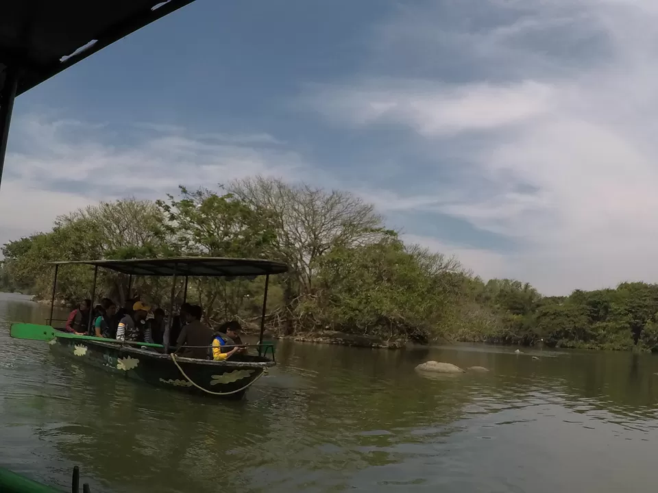 Photo of BOATING WITH CROCODILES ???? AT RANGANATHITTU BIRD SANTUARY | Wanderlust On Wheel by Wanderlust On Wheel